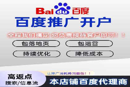 某品牌SEM推广策略的成效与启示